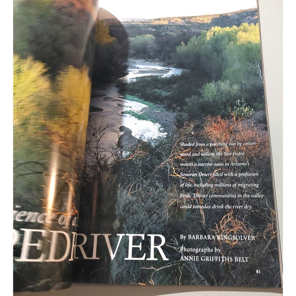 National Geographic Magazine April 2000 Great White Shark Yemen Platypus Nature - Picture 6 of 10